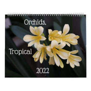 Orchidées, Calendrier des Plantes tropicaux 2022
