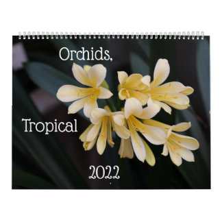 Orchidées, Calendrier des Plantes tropicaux 2022
