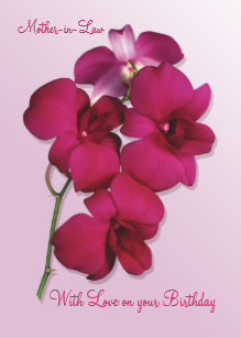Cartes Orchidee D Anniversaire Zazzle Fr