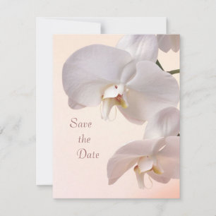 Orchidées crème blanc Save the Date