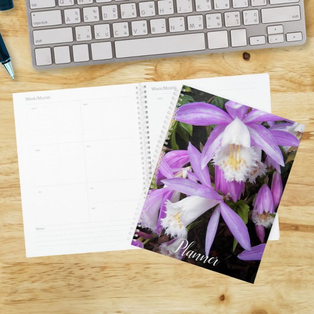 Orchidées de fenêtre Pleione Floral (In Situ)