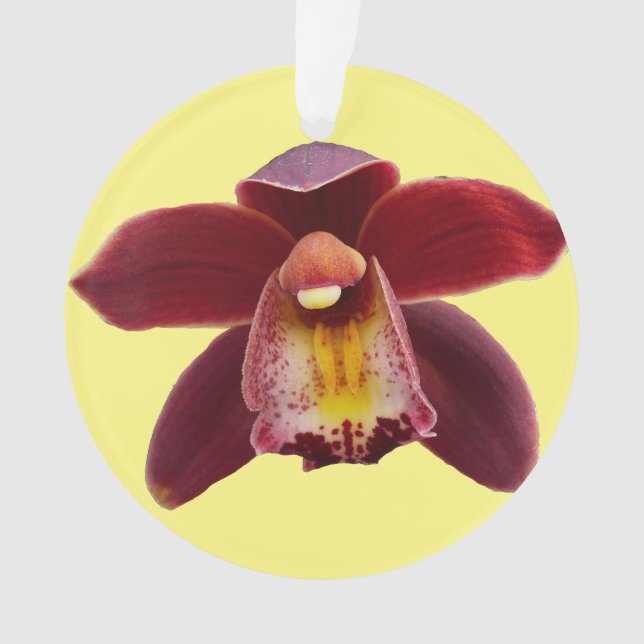 Orchidées de Maroon I Beau Floral Rouge (devant)