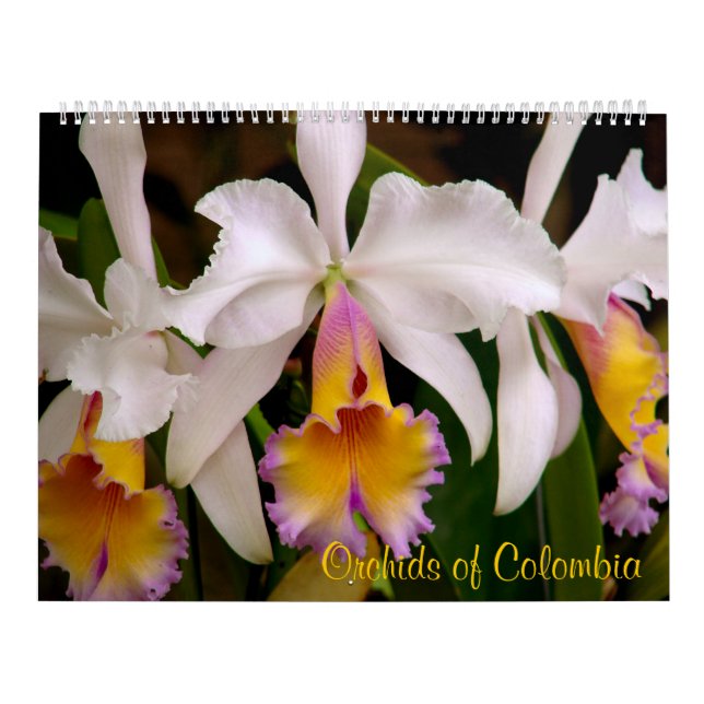 Orchidées du calendrier 2013 de la Colombie (Protection)
