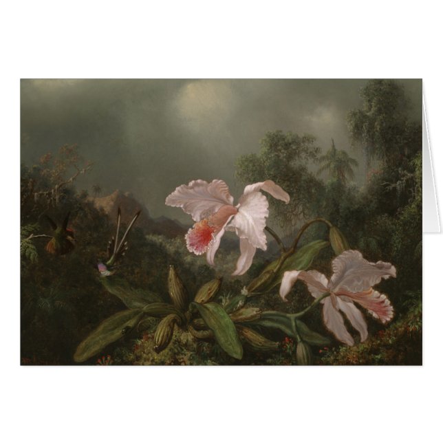 Orchidées et colibris de jungle (Devant horizontal)