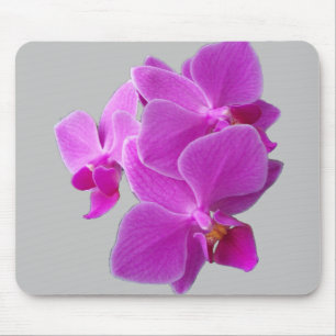 Orchidées fuchsia sur un tapis de souris