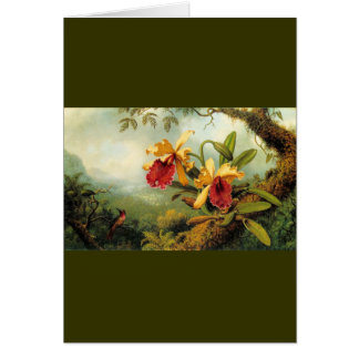 Orchidées jaunes