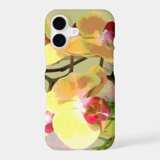 Orchidées jaunes au soleil de l'après-midi