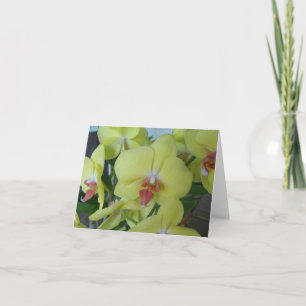 Orchidées jaunes sur un carte pour notes vierge