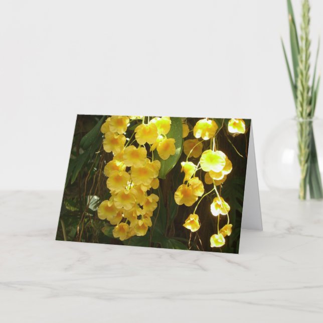 Orchidées jaunes suspendues Fleurs tropicales (Devant)