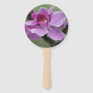 Orchidées papillons violettes sur un éventail