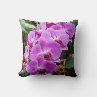 Orchidées pourpres Posh Lancer Oreiller