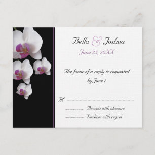 Orchidées roses RSVP