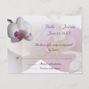 Orchidées roses RSVP