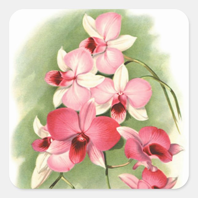Orchidées roses - Sticker (Devant)