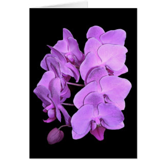 orchidées (style de fresque)