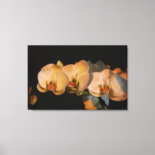 orchidées sur toile imprimée du coucher de soleil (Recto)