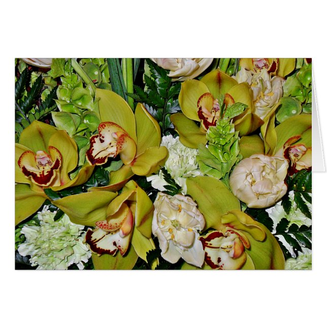 Orchidées Vertes d'Amour_ (Devant Horizontal)