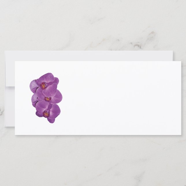 Orchidées violettes vives (Devant)