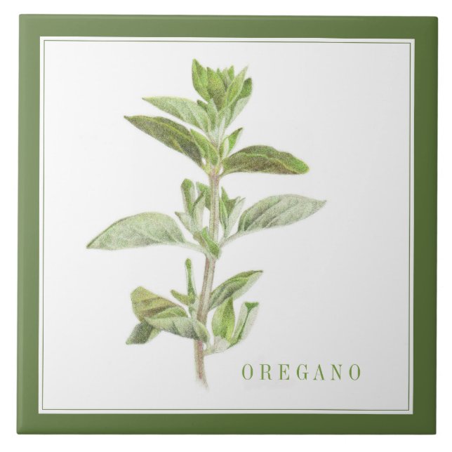 OREGANO FRAIS 6x6 Carreaux en céramique (+texte) V (Devant)