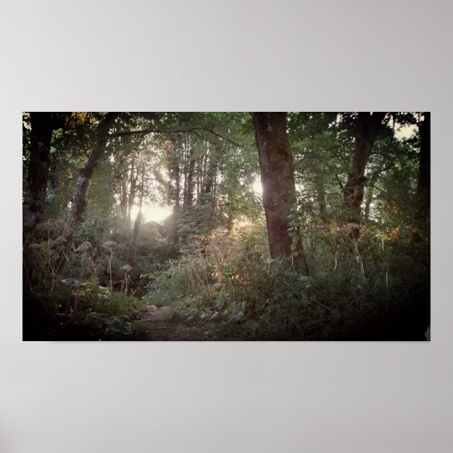 Oregon Magic - Poster (Devant)