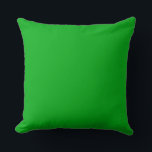 Oreiller à jet vert 20 po x 20 po<br><div class="desc">C'est pour les amateurs de coussins. COOL !</div>