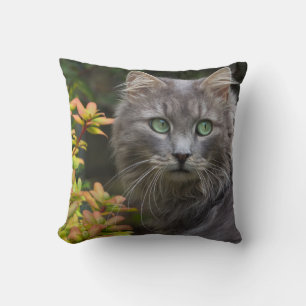 Oreiller à lancer de chats gris mou