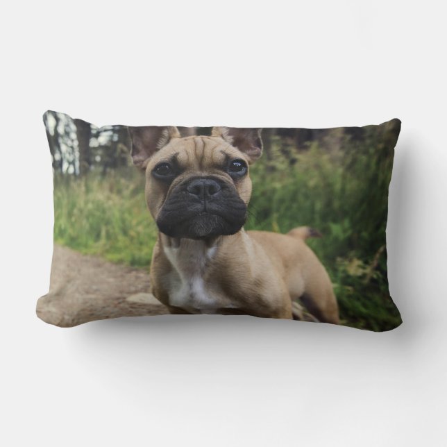 Oreiller à lancer de chien de taureau français (Recto)