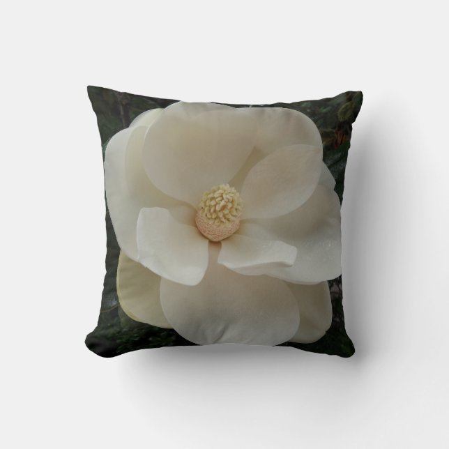 Oreiller à lancer de fleurs de Magnolia (Recto)