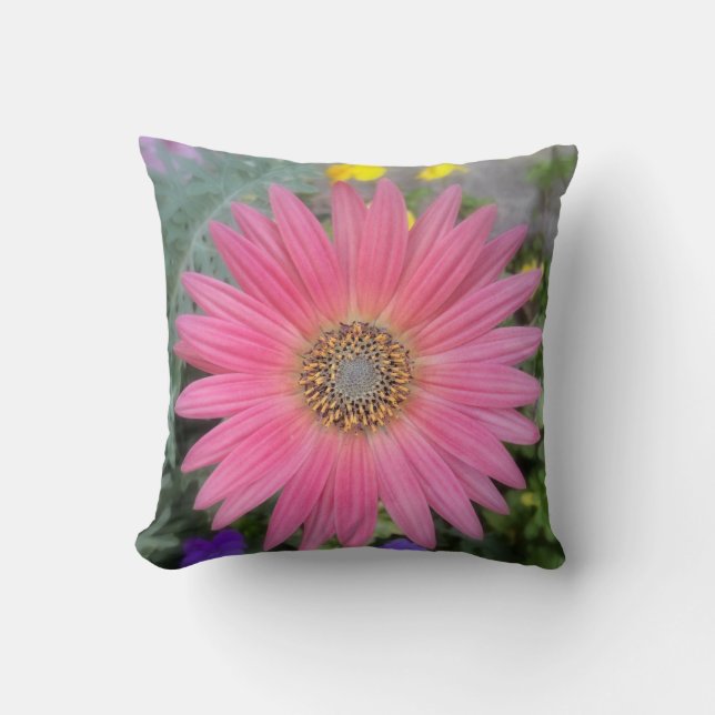 Oreiller à lancer de Gerbera rose (Recto)