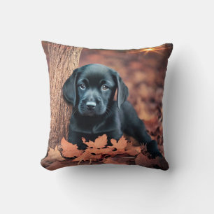 Oreiller à lancer de marionnettes du Black Lab