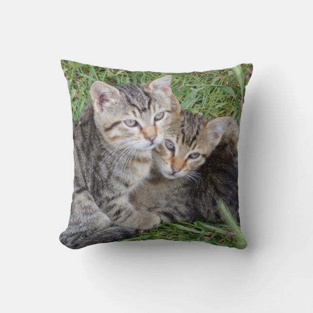 Oreiller à lancer des soeurs Tabby (Recto)