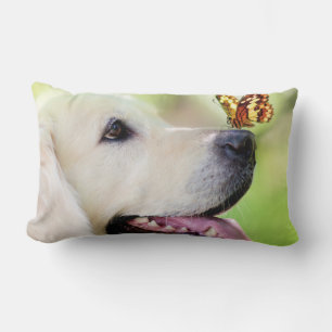 Oreiller À Lancer Du Labrador Et Du Papillon