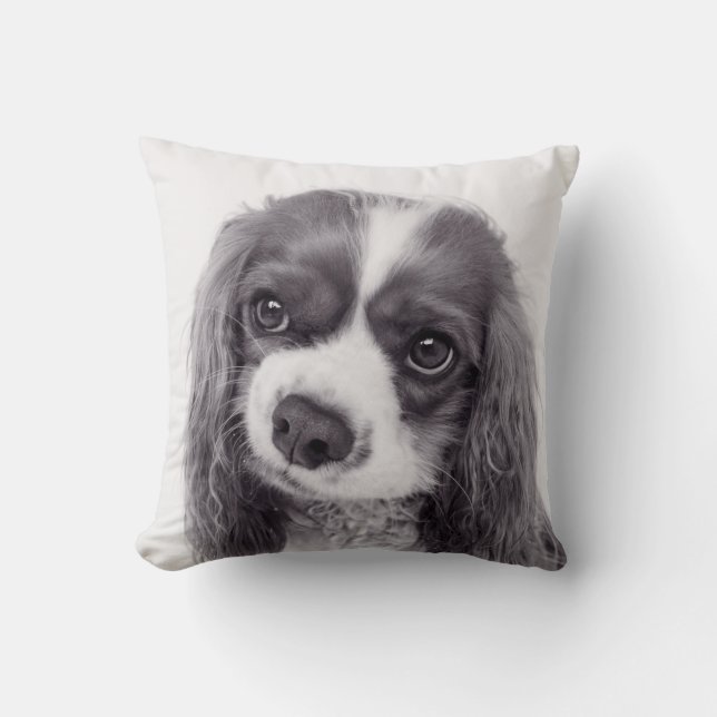 Oreiller à lancer personnalisé pour animaux de com (Recto)