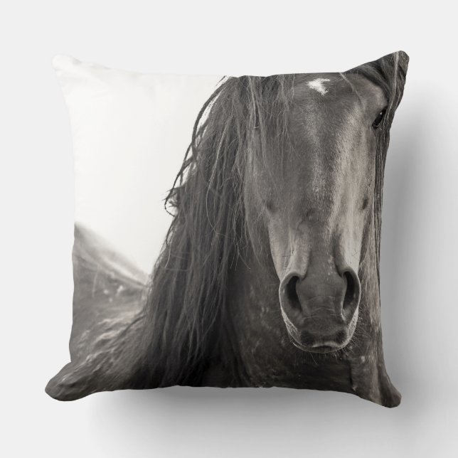 Oreiller à lancer "provocateur" (Recto)