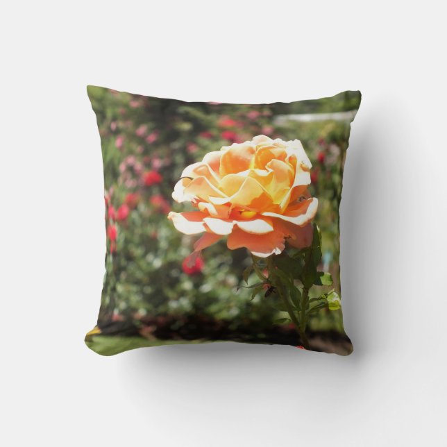 Oreiller à lancer Rose d'abricot (Recto)