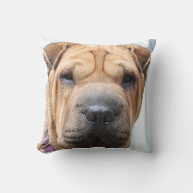 Oreiller à lancer Sharpei (Recto)