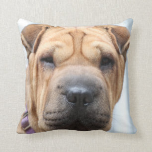 Oreiller à lancer Sharpei