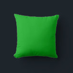 Oreiller à lancer vert 16 po x 16 po<br><div class="desc">C'est pour les amateurs de coussins. COOL !</div>