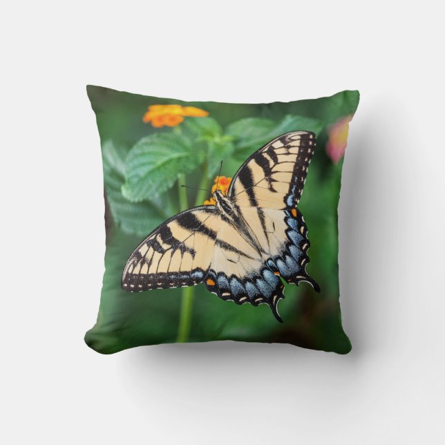 Oreiller à papillon (Recto)