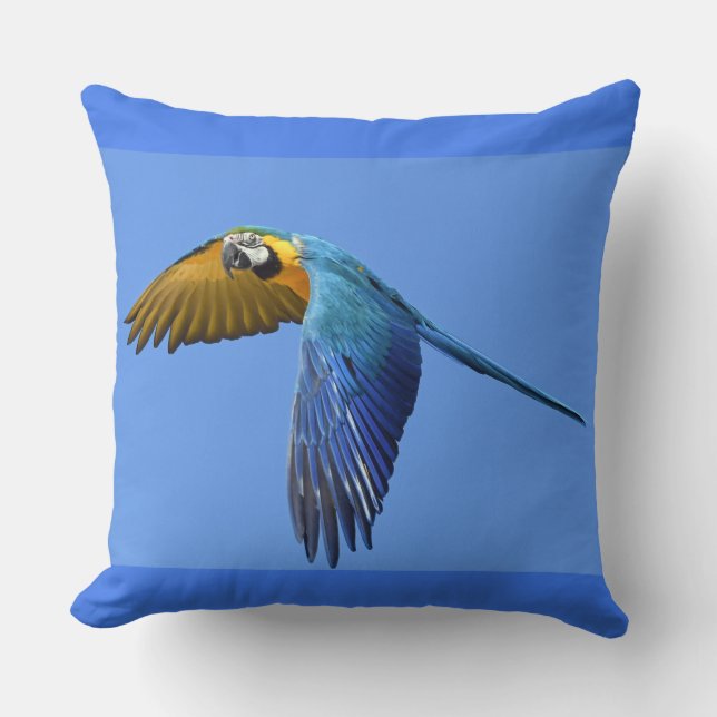 Oreiller à perroquet bleu (Recto)