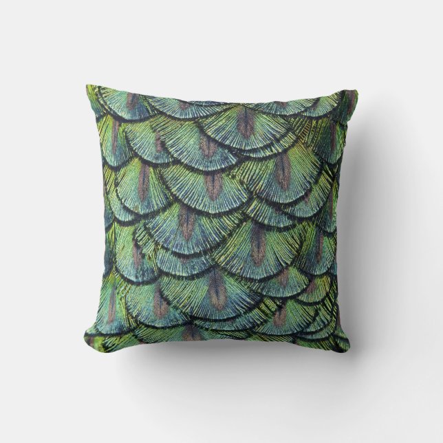 Oreiller à plumes de paon (Recto)