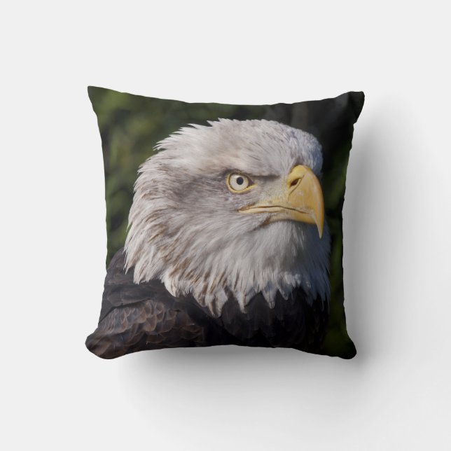 Oreiller American Eagle (Recto)