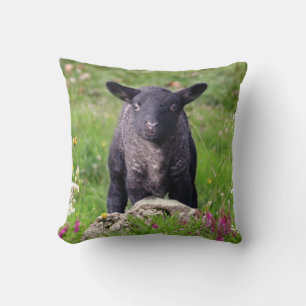 Oreiller Baa Baa Black Sheep
