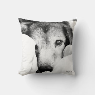 oreiller berger chiot endormi noir blanc