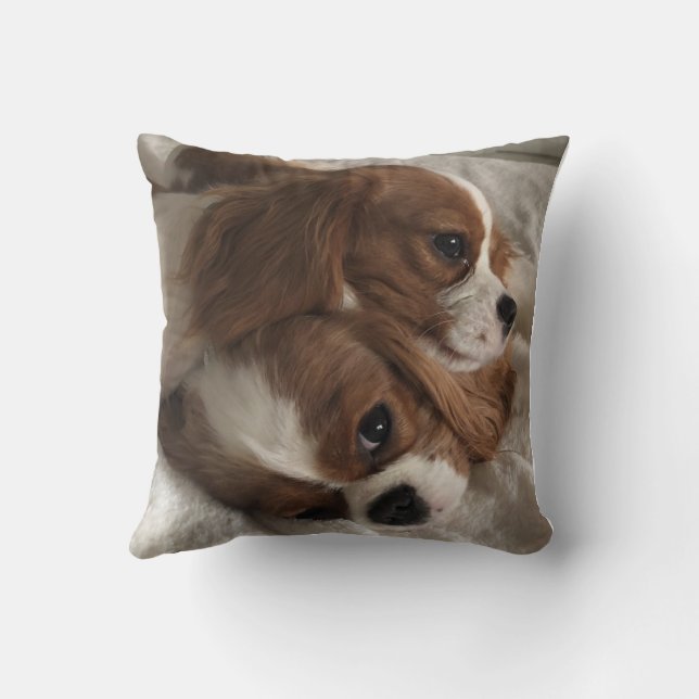 oreiller bleu moyen brillant (Verso)