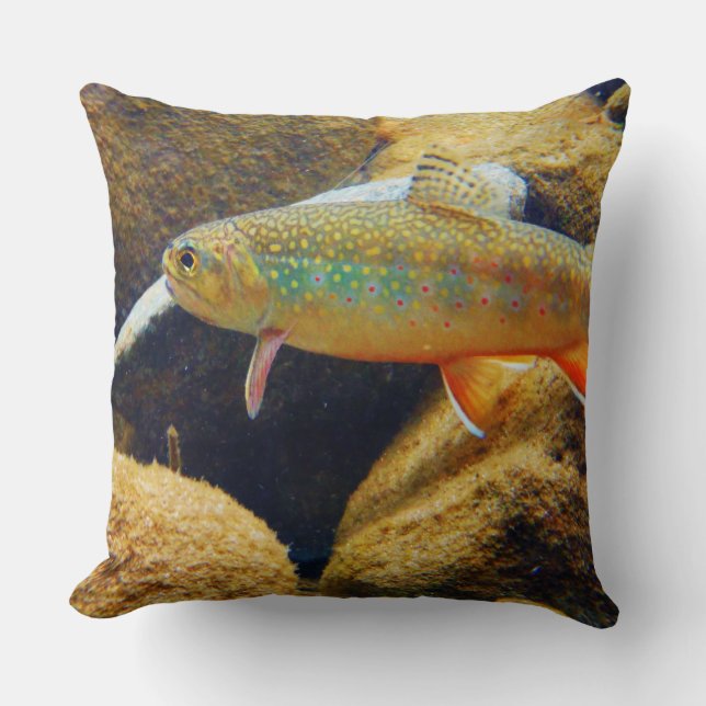oreiller brook trout (Recto)