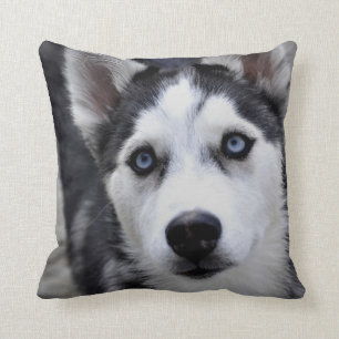 Oreiller chiot husky