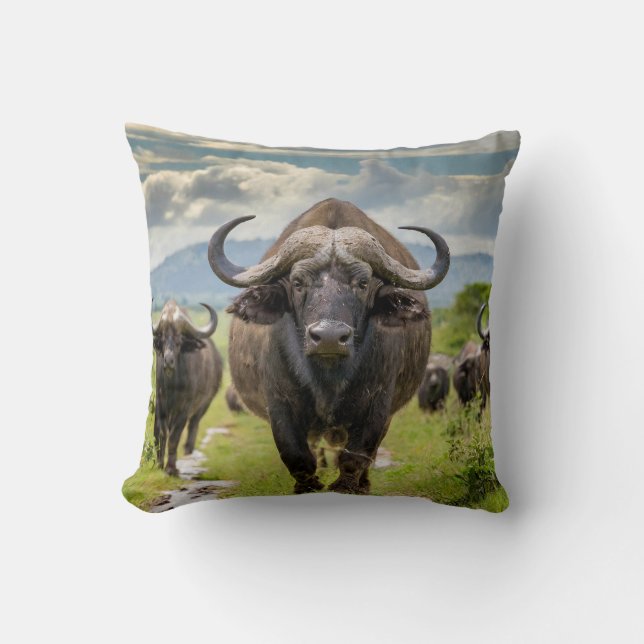 Oreiller Cool Buffalo ! (Recto)