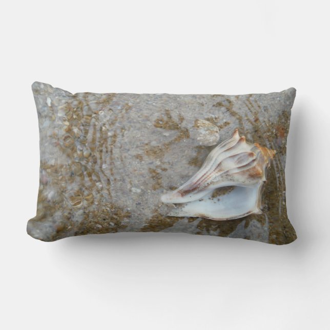 oreiller coquilles (Recto)