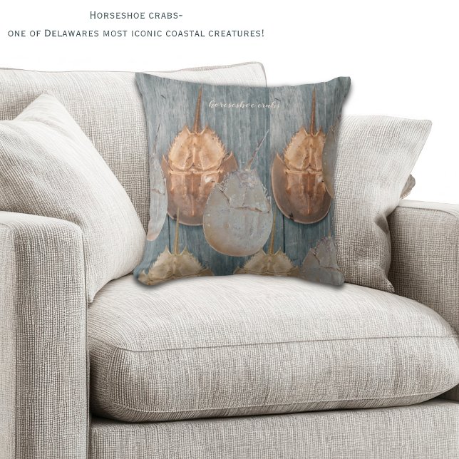 Oreiller Crabe Fers à Cheval du Delaware - Décorat (Horeshoe crabs are one of the most iconic coastal creatures in DE! Two sided decorative pillow!)